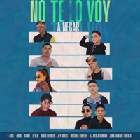 No Te Lo Voy a Negar - Single - Dj Akolatroniko, Jey Navas, David Bermeo, E-lian, Amir, Eliany Cruz, jonathan on the beat, Michael Forever & Vanni