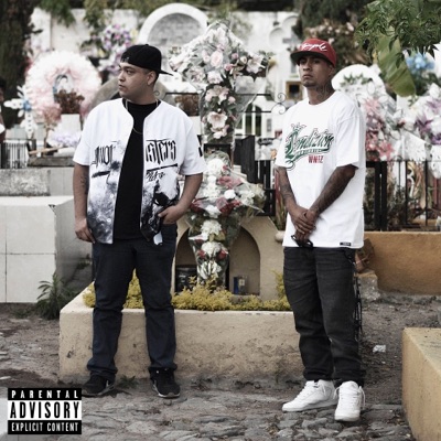 Mi Arma (feat. Zimple) - Single