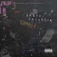 Aretha Franklin (feat. Tcash & Epic) - Single - MoMoney Gang