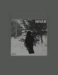 Escucha a Северный Лес, mira videos musicales, lee su biografía, consulta las fechas de las gira y más.