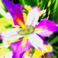 Bee (feat. Tyraz & Bbbbfc) - Single - Jedwill