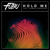 Hold Me (feat. Cammie Robinson) artwork