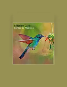 Listen to Freedom Café, watch music videos, read bio, see tour dates & more!
