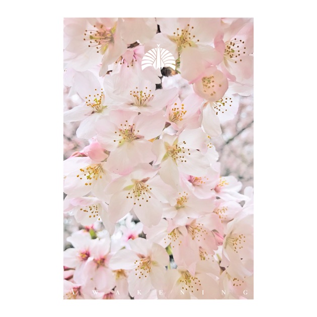 教育 - 東京事変のアルバム - Apple Music