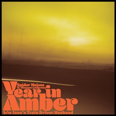 Year in Amber - Single