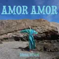 Amor Amor