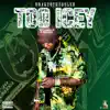 Stream & download Too Icey - Single