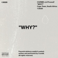Why? - Single - Cozmik