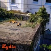 Lydia - Single