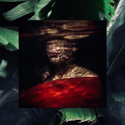 Flash - Single