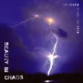 Beauty In Chaos
