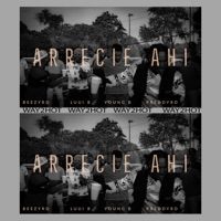 Arrecie Ahí Preddyrd (feat. Beezyrd, Luuib & Youngb) - Single - PreddyRD