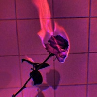 The Bottom - Single - void