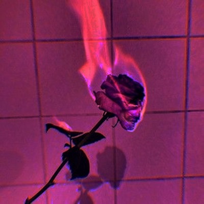 The Bottom - Single