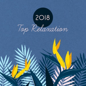 2018 Top Relaxation: Peaceful Songs for Body and Mind