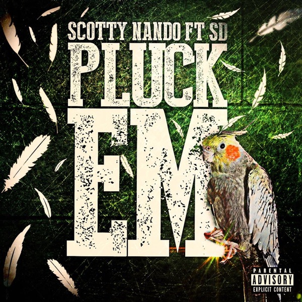 Pluck 'em (feat. Sd) - Single - Scotty Nando