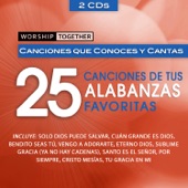 Worship Together: 25 Canciones de Tus Alabanzas Favoritas artwork