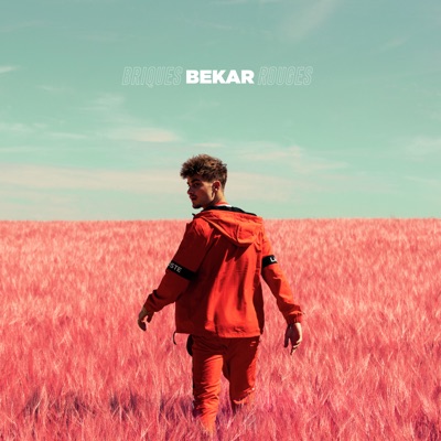 B.E - Bekar | Shazam