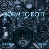 Born to Do It (DJ Ademar Remix) artwork