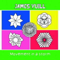 MOVEMENT IN A STORM cover art