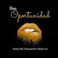 Una Oportunidad - Single - Danny Like, Nicko LVCC & Kaaymichel