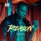 Reason artwork