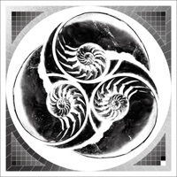Slow Colour - yagi
