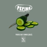 Pienso Que Sonrío - Single - DYC