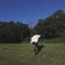 Greenhouse - Miloe lyrics