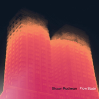 Shawn Rudiman - Flow State artwork