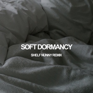Soft Dormancy (Shelf Nunny Remix) - Single