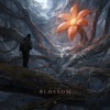 Blossom cover art