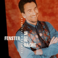 Fenster in die Nacht