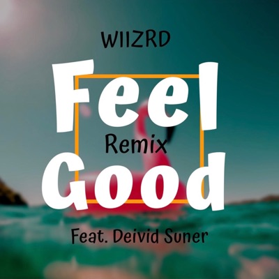 Feel Good (feat. Deividsuner) [Remix] - Single