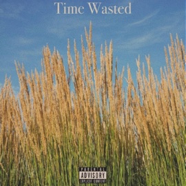 Time Wasted Thcole