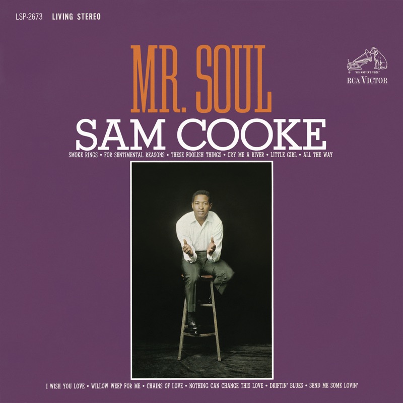 Meaning of Nothing Can Change This Love by Sam Cooke