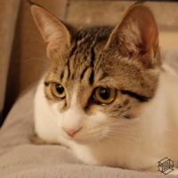 How Are You? - Single - Lel