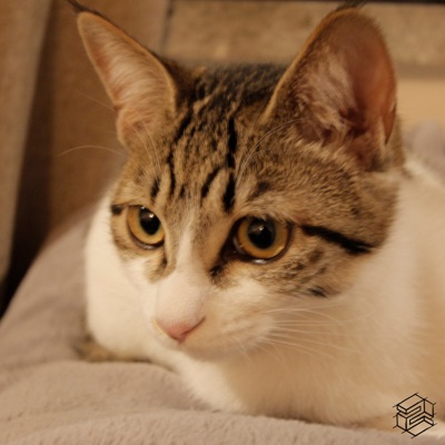 How Are You? - Single