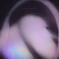Glue
