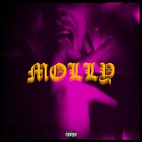Molly - Single - Azteca & NANE