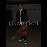 On My Own - Single - Misael the Mc