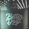 Better Dayz - Single