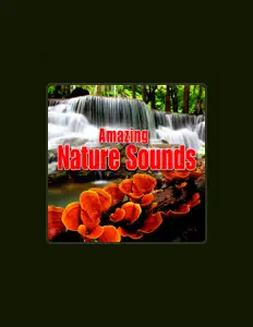 Listen to Best Nature Sounds, watch music videos, read bio, see tour dates & more!