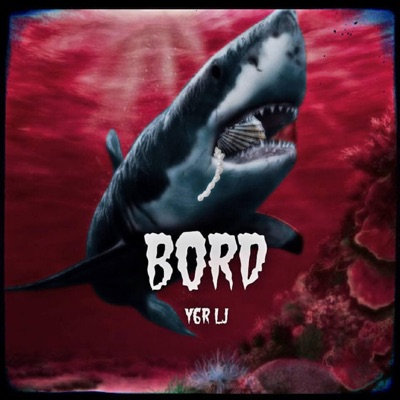 Bord - Single