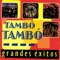 Siempre en Mi Mente - Tambó Tambó lyrics