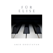 Für Elise (Orchestral Version)