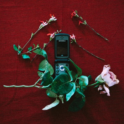 I've Been Missing Your Name on My Phone - Single