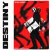 Black Sherif - Destiny artwork