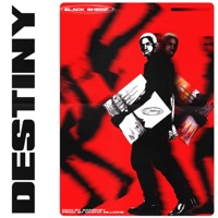 Destiny - Single - Black Sherif