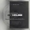Derrick Da House - House 4 Luv (Fizzikx Remix)